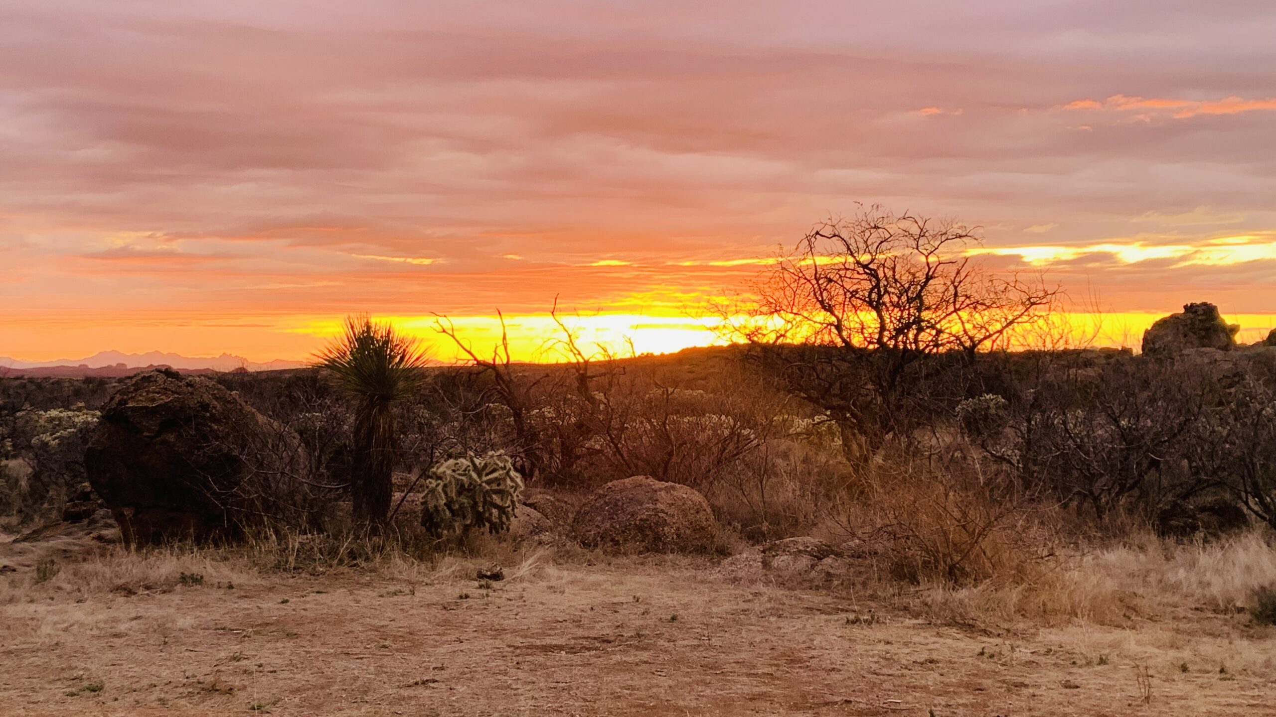 24 Hours in the Old Pueblo, Part 5: The Bittersweet End